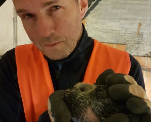 Harburg Küki und ein netter Mensch